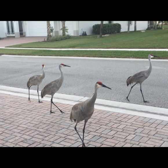 Meet your Posher, Lisa - Picture 2 of 3